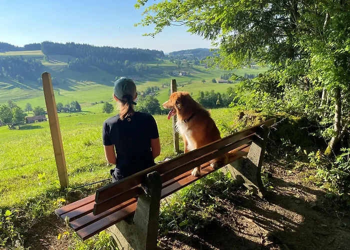 Erstklassige 4-Sterne-Hotels in Oberstaufen